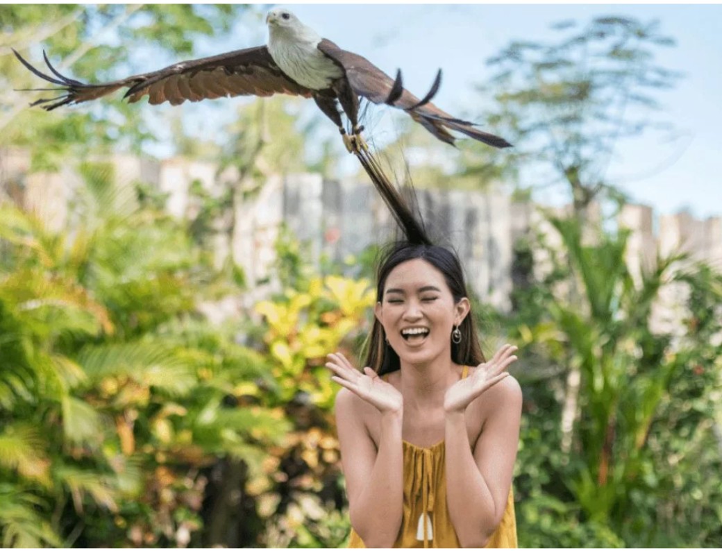 wisata ramah anak di bali - Bali Bird Happy Kamper